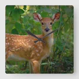 "Spring Fawn" Quadratische Wanduhr