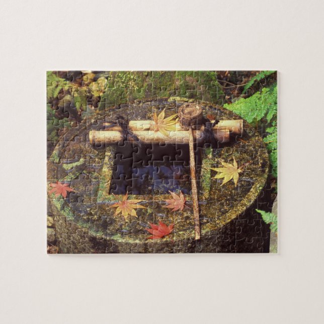"Spring for Tee Zeremony", Ryanair Temple, Kyoto, (Horizontal)