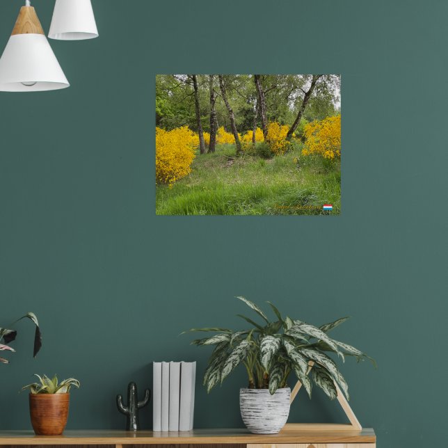 Spring forest in Luxembourg travel Poster (Wohnzimmer 1)