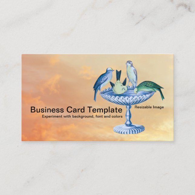 Spring Garden Birdbath Business Card Visitenkarte (Vorderseite)