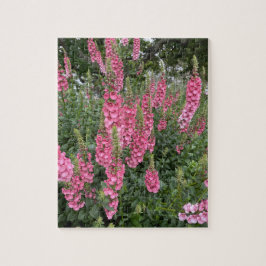 Spring Garden Blume