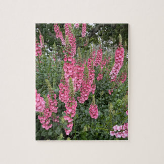 Spring Garden Blume