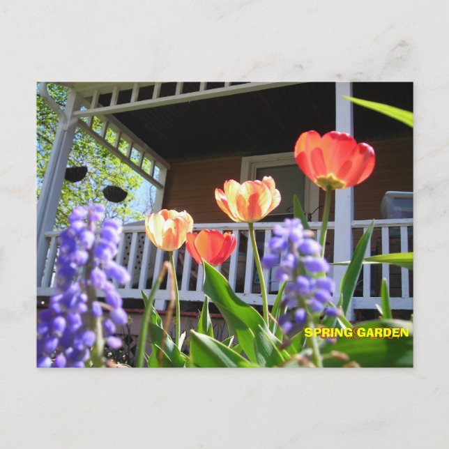 SPRING GARDEN POSTKARTE (Vorderseite)