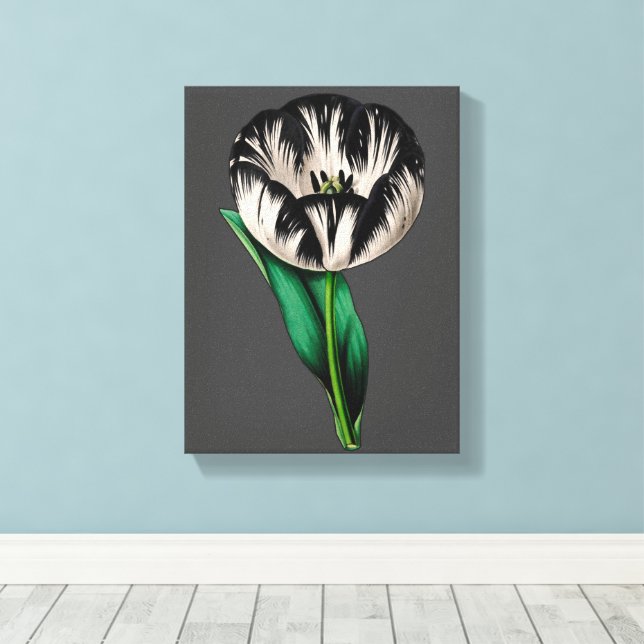 Spring Garden Tulip Blume Leinwanddruck (Insitu (Holzboden))