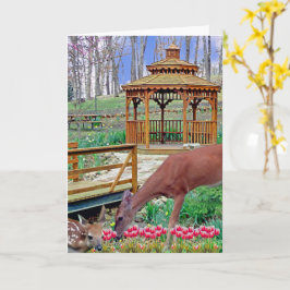 Spring Gazebo Karte