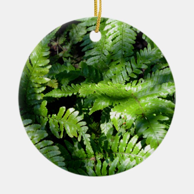 Spring Green Ferns boho botanisch Keramik Ornament (Vorne)