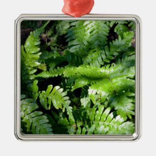 Spring Green Ferns boho botanisch Ornament Aus Metall