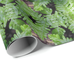 Spring Green Ferns Geschenkpapier