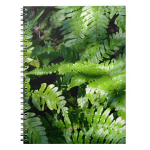 Spring Green Ferns Notizblock