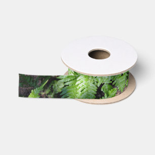Spring Green Ferns Satinband