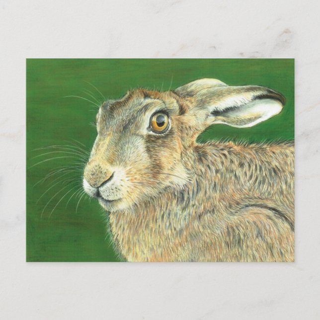 Spring Hare Postkarte (Vorderseite)