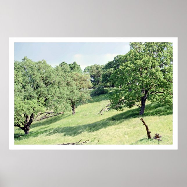 Spring Hillside, San Jose (Poster) Poster (Vorne)