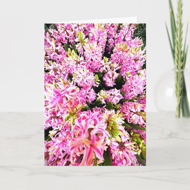 Spring Hyacinth Blank Card Einladung (Vorderseite)