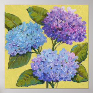 Spring Hydrangeas I Poster