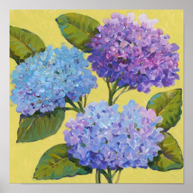 Spring Hydrangeas I Poster (Vorne)