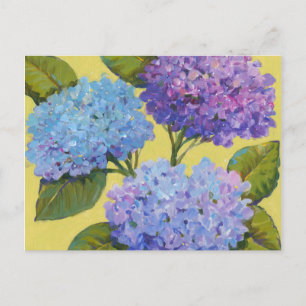Spring Hydrangeas I Postkarte