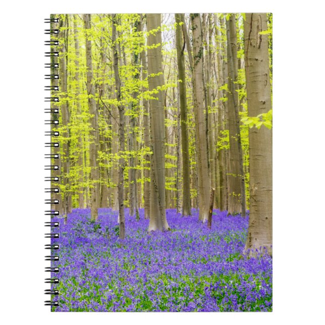 Spring in the Blue Forest Notizblock (Vorderseite)