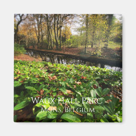 Spring in Waux Hall parc in Mons, Belgien Magnet