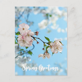 Spring Is in the Air -  Postkarte
