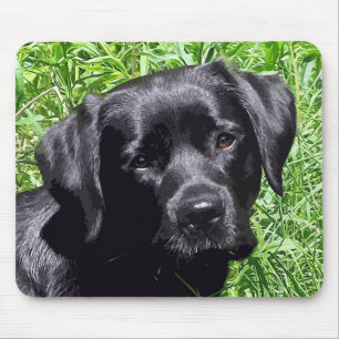 Spring Joy - Labrador Retriever - Black Lab Mousepad