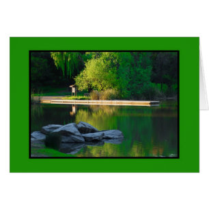 Spring Lake Reflection