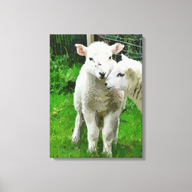 SPRING LAMBS LEINWANDDRUCK (Vorderseite)
