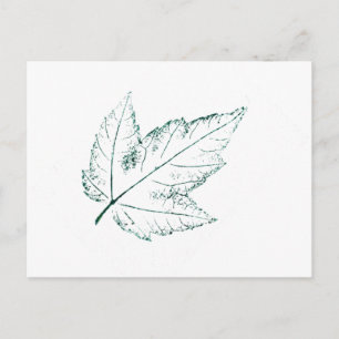 "Spring Maple" Landstraßen Postkarte