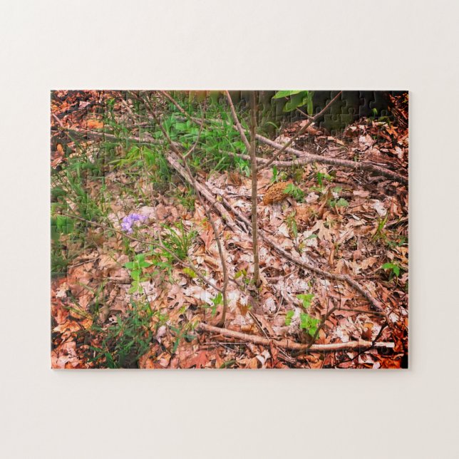 Spring Morel Hunting (Horizontal)