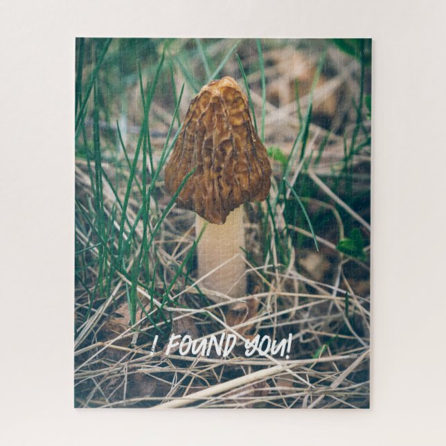 Spring Morel Mushroom (Vertikal)