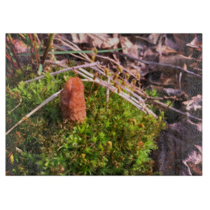 Spring Morel Schneidebrett