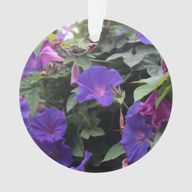 Spring Morning Glories en bleu (devant)
