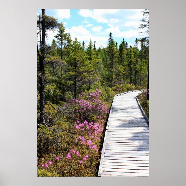 Spring on the Bog Walk Poster (Vorne)