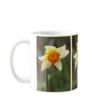Spring Orange Daffodil Tasse