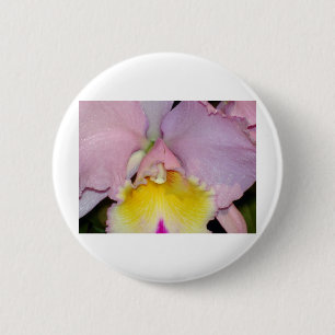 Spring Orchid Button