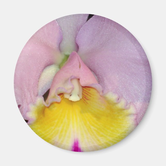 Spring Orchid Magnet (Vorne)