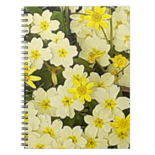 Spring Primroses Foto Notebook Notizblock