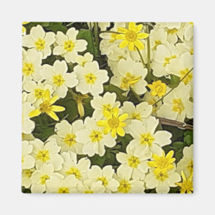 Spring Primroses Magnet