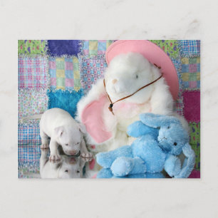Spring Puppy Liebe Postkarte