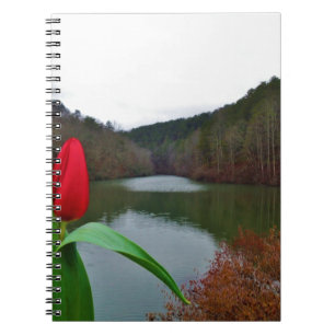 Spring Red Tulip at Lake Arrowhead Notizblock