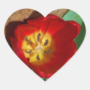 Spring Red Tulip Herz-Aufkleber