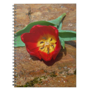 Spring Red Tulip Notizblock