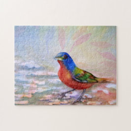 Spring Robin