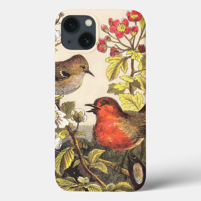 Spring Robin Birds Red Vogelbeobachtung Case-Mate iPhone Hülle (Rückseite)