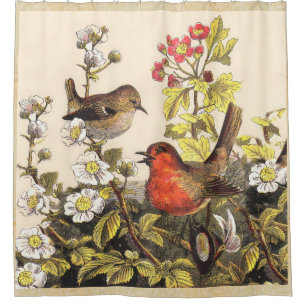 Spring Robin Birds Red Vogelbeobachtung Duschvorhang