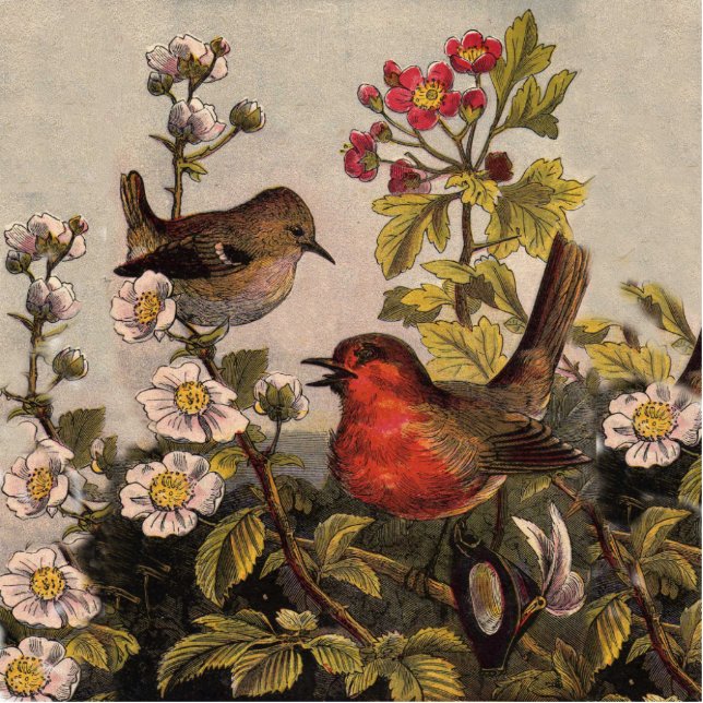 Spring Robin Birds Red Vogelbeobachtung Freistehende Fotoskulptur (Vorne)