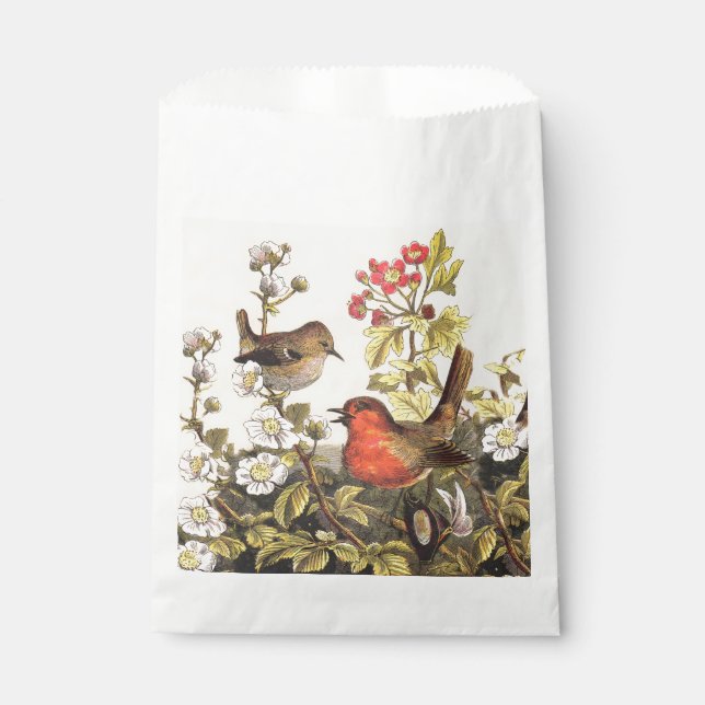 Spring Robin Birds Red Vogelbeobachtung Geschenktütchen (Vorderseite)