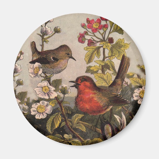 Spring Robin Birds Red Vogelbeobachtung Magnet (Vorne)
