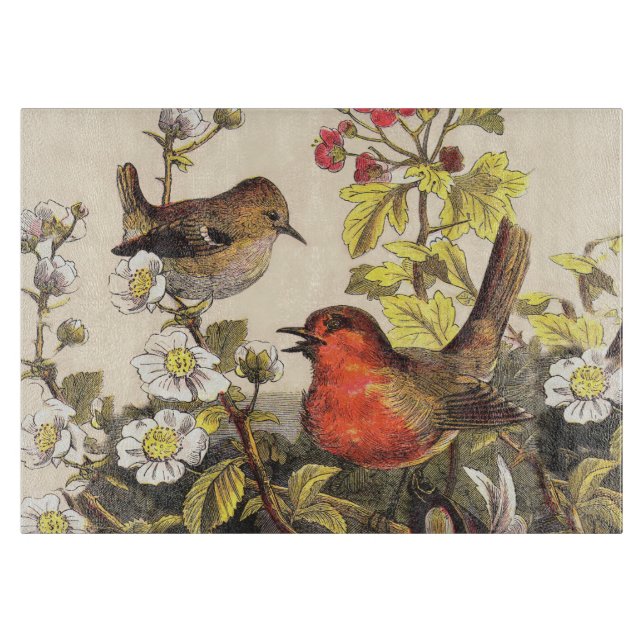 Spring Robin Birds Red Vogelbeobachtung Schneidebrett (Vorderseite)