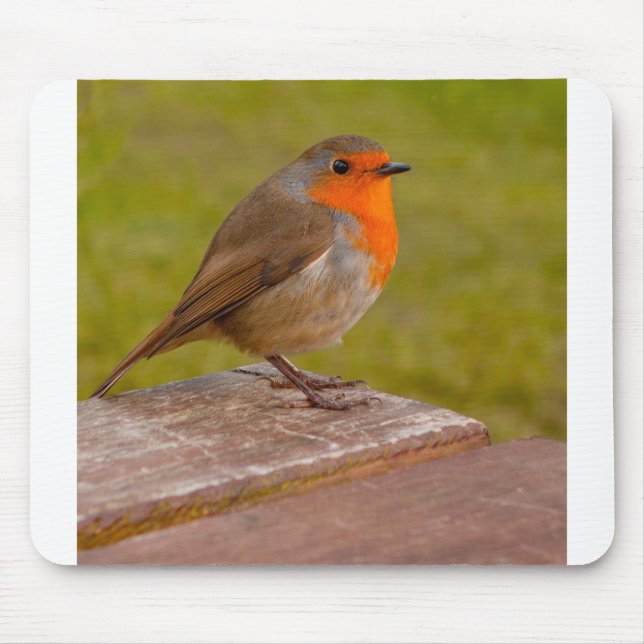 Spring Robin Mousepad (Vorne)