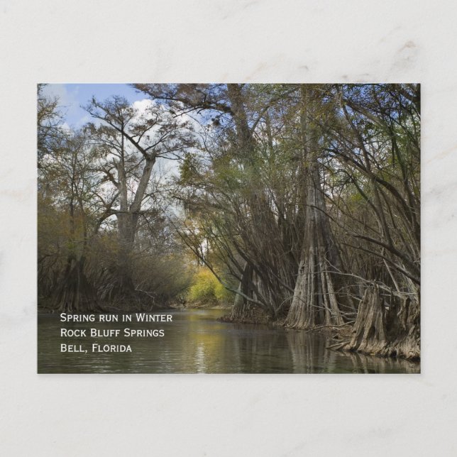 Spring Run en hiver Carte postale (Devant)